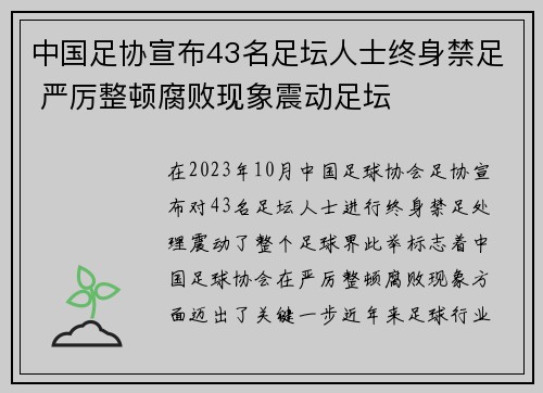 中国足协宣布43名足坛人士终身禁足 严厉整顿腐败现象震动足坛